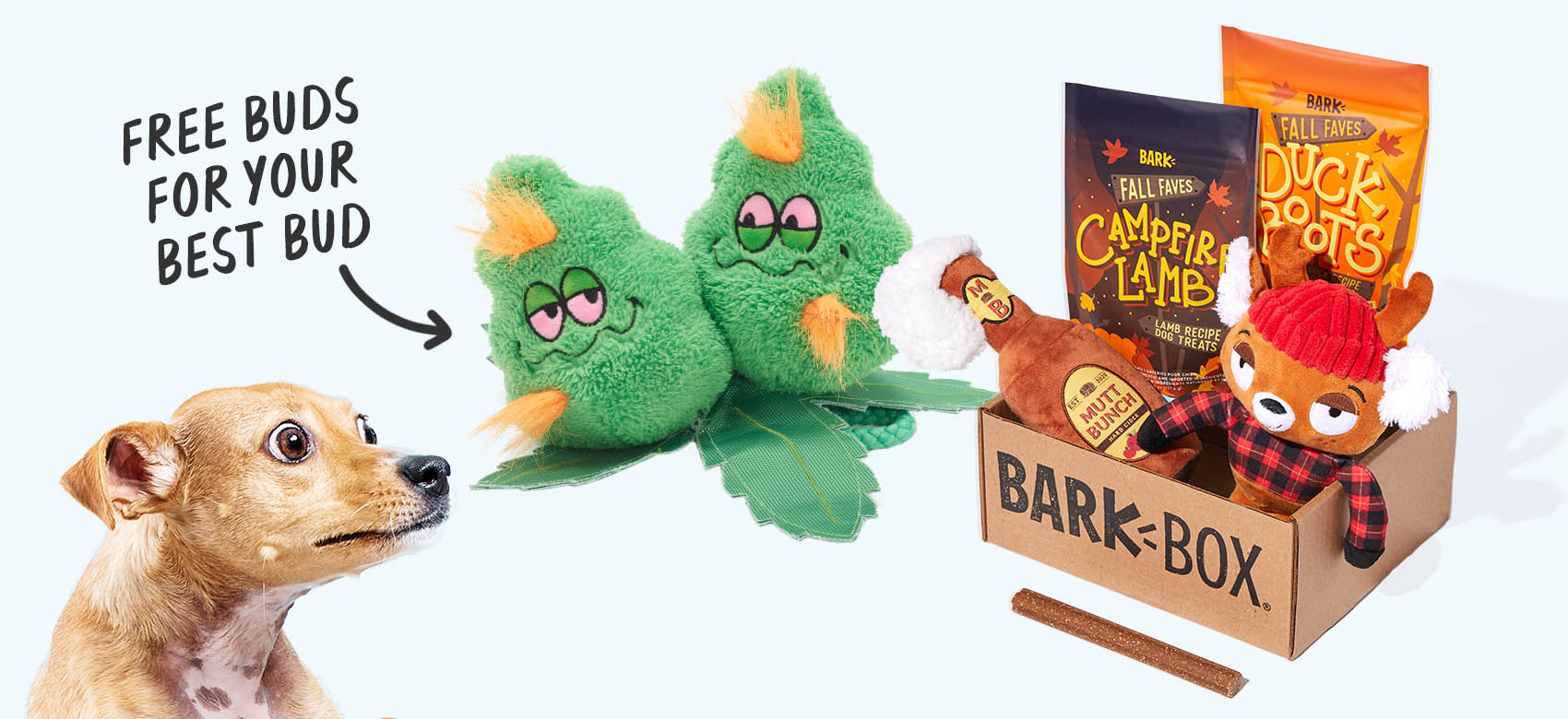 BarkBox, a monthly box of dog goodies starting at $23 per month