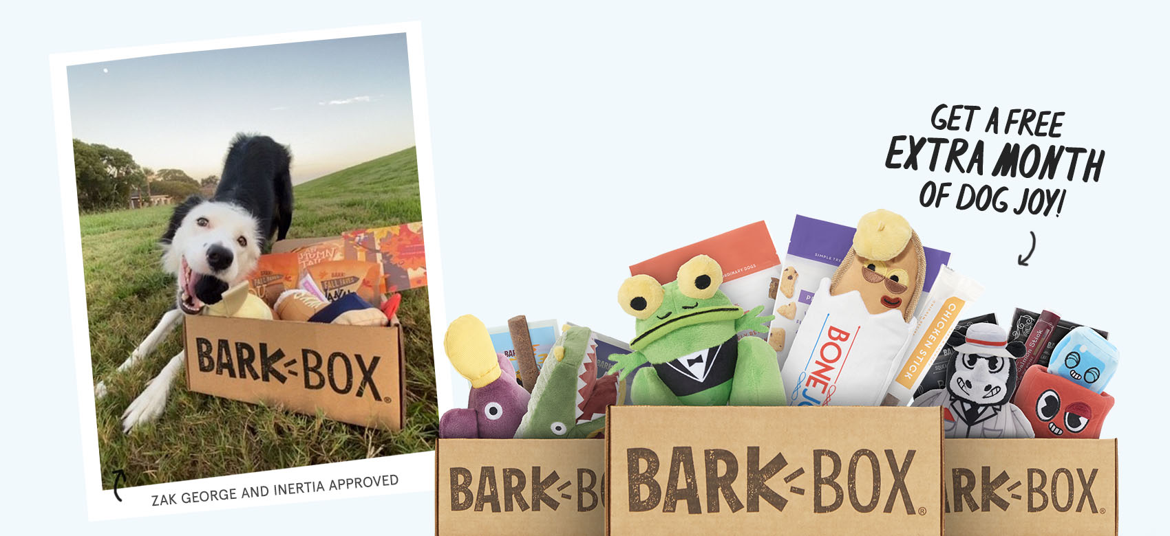 Barkbox Desktop Banner