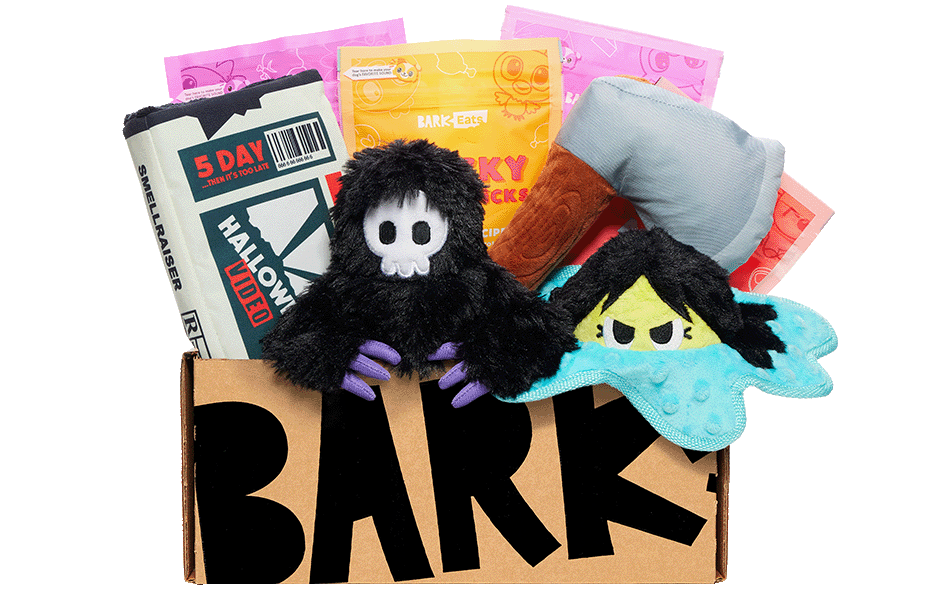 Barkbox halloween sale toys