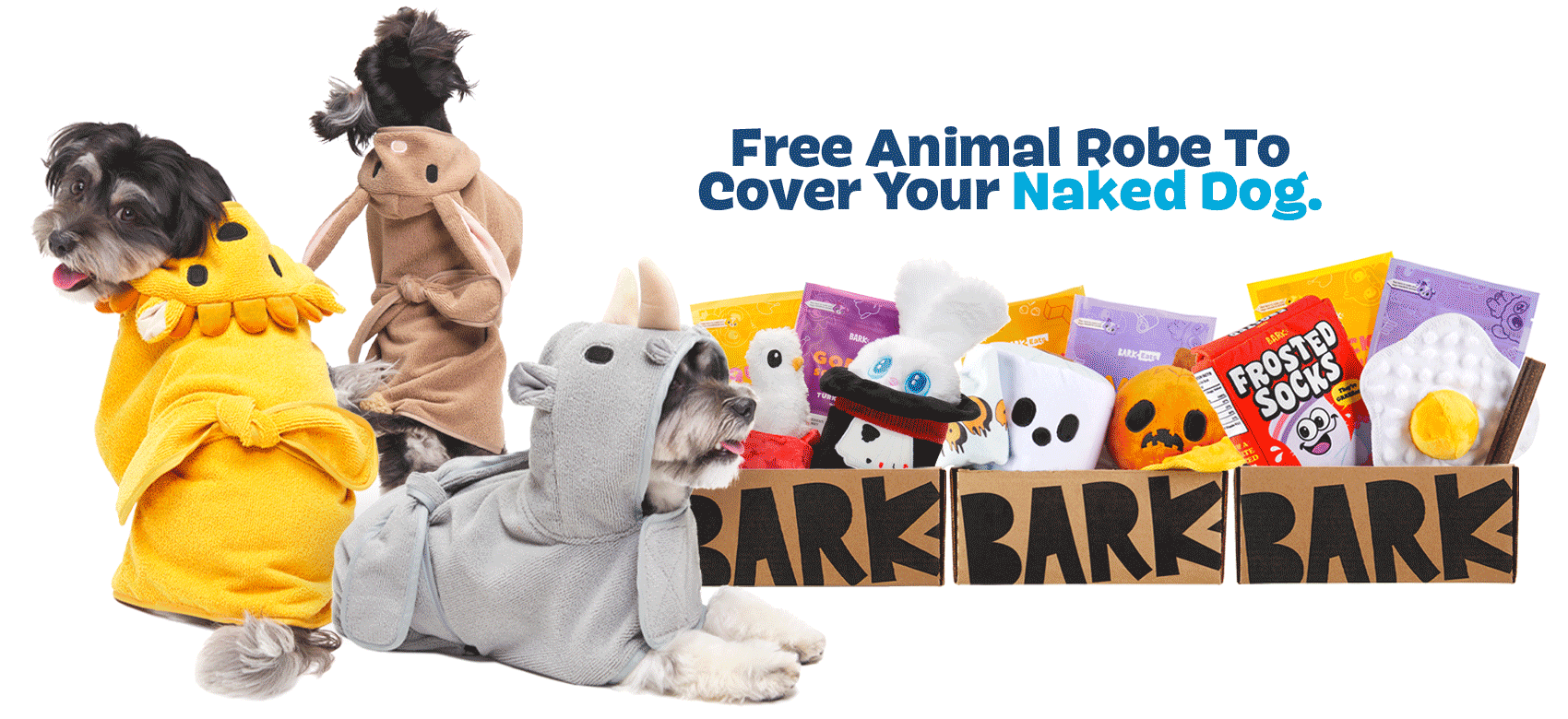 BarkBox, a monthly box of dog goodies starting at $23 per month