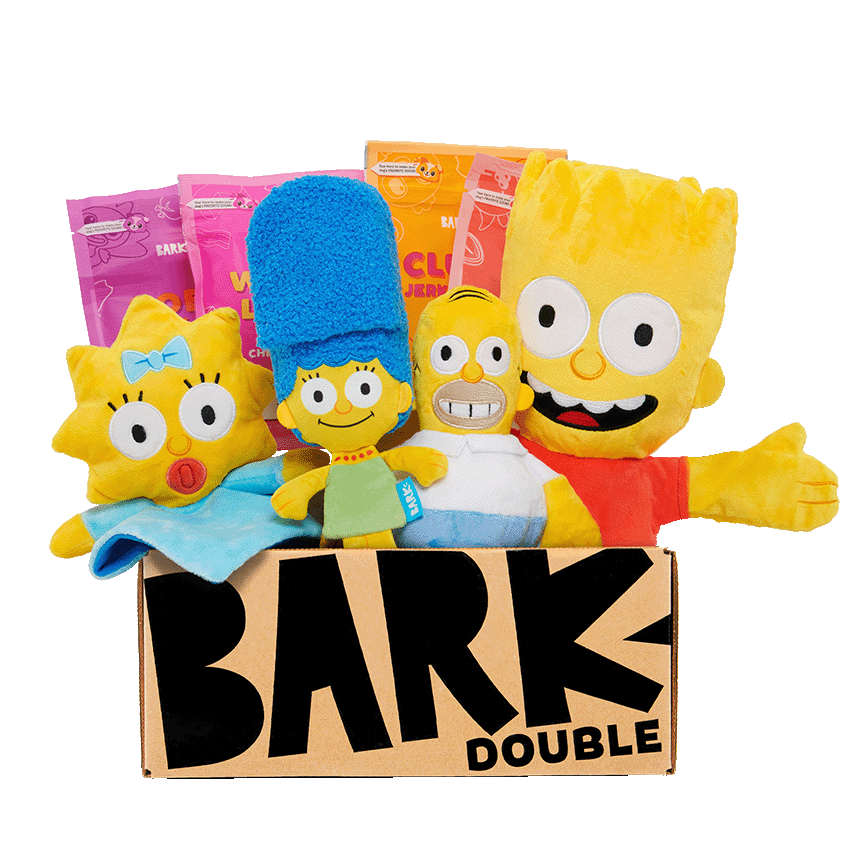 The Simpsons | Simpsons themed toys | BarkBox toys themed BarkBox