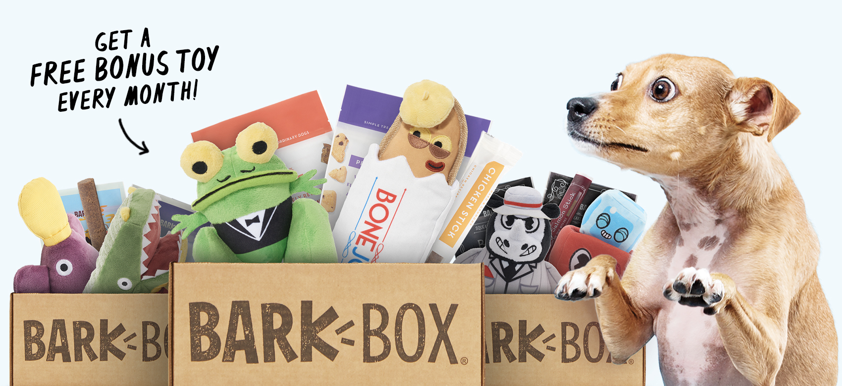 barkbox plush toys