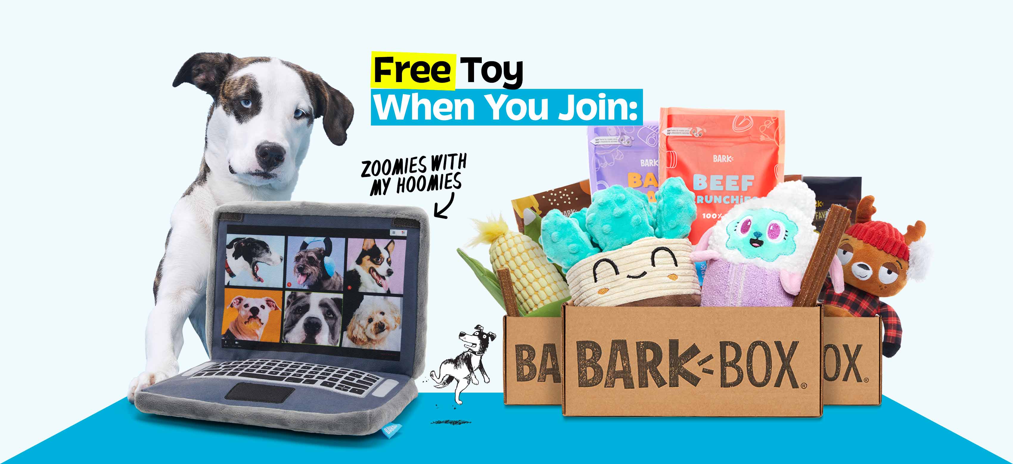 BarkBox