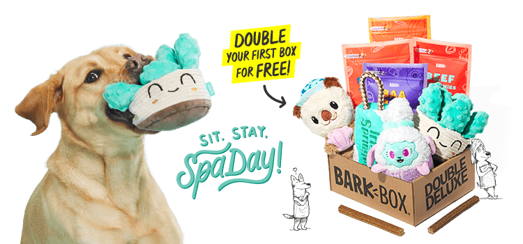 BarkBox, a monthly box of dog goodies starting at $23 per month