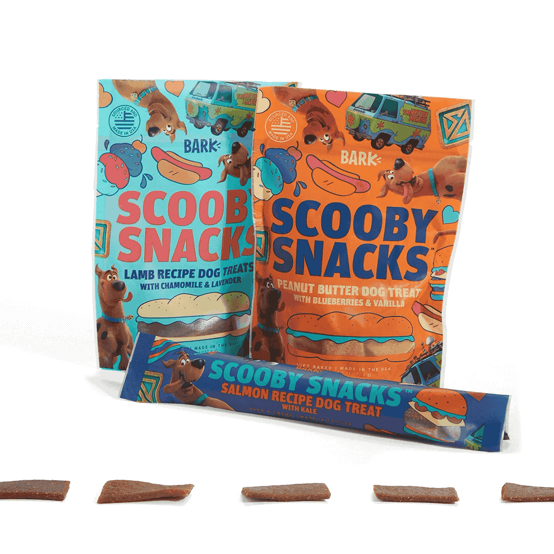 Photograph of BarkBox’s Scooby Snacks! Dog Treats  product