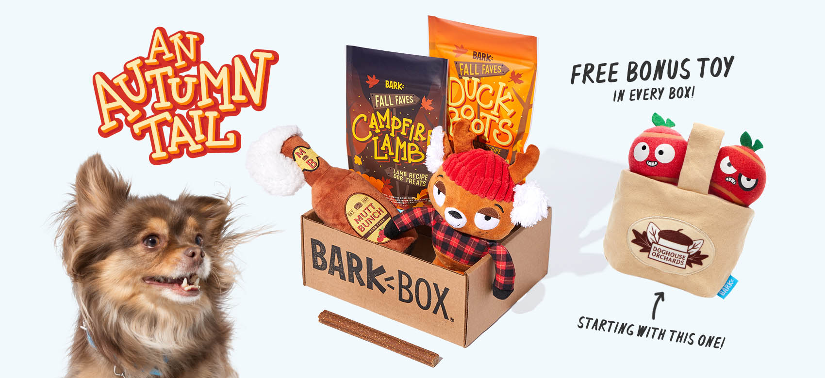 BarkBox, a monthly box of dog goodies starting at $22 per month