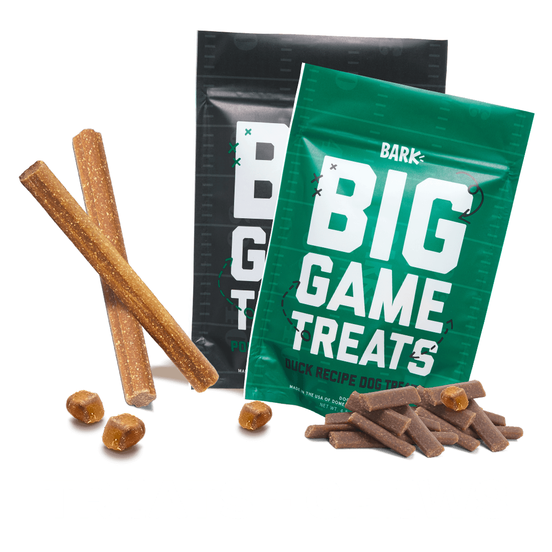 Super Chewer Themed Collection Toy 4