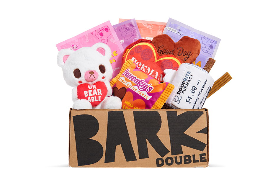 BARK™ Plush Toy for Pets