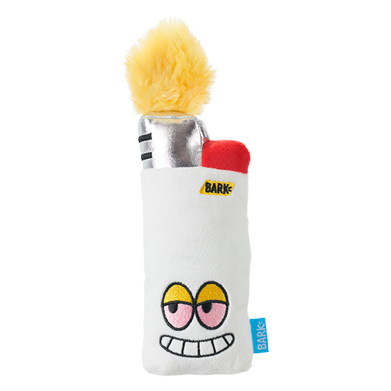 Photograph of BarkBox’s High Lighter product