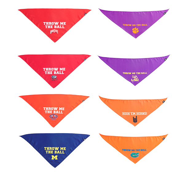 Photograph of BarkBox’s Bandana for Your Team product