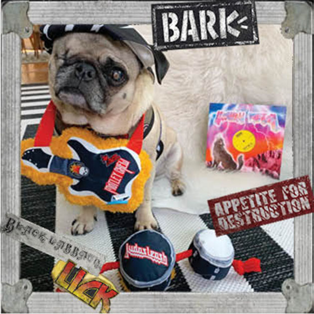 #BarkBoxDay Instagram image collage