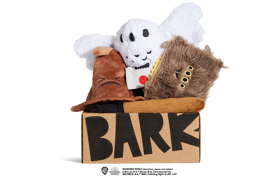Harry Potter | Harry Potter themed dog toys | BarkBox themed BarkBox