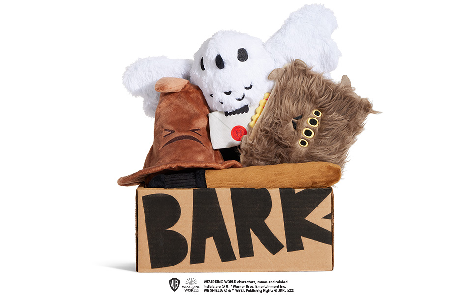 Harry Potter Bark Box 2024 - Vally Isahella