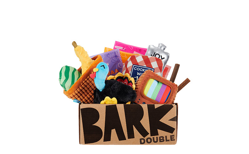 Home Fur Thanksgiving  themed BarkBox