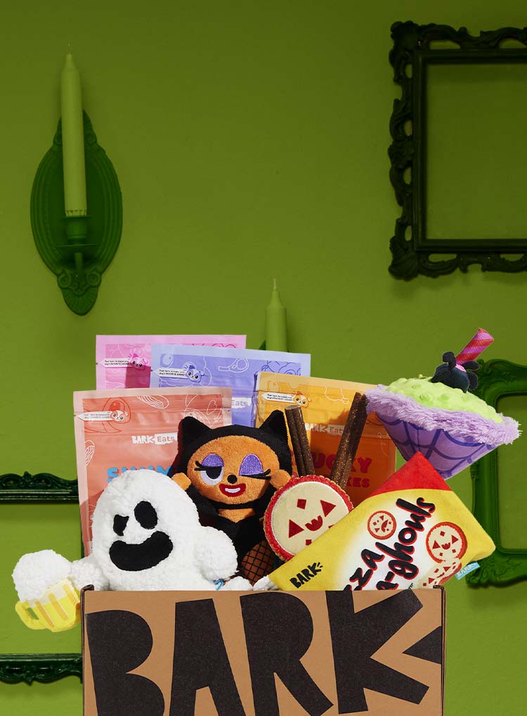 Photograph of Howl-O-Ween | Halloween themed Dog Toys | BarkBox themed BarkBox toys and treats