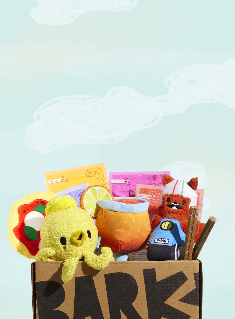 Photograph of Italy Playcation themed BarkBox toys and treats