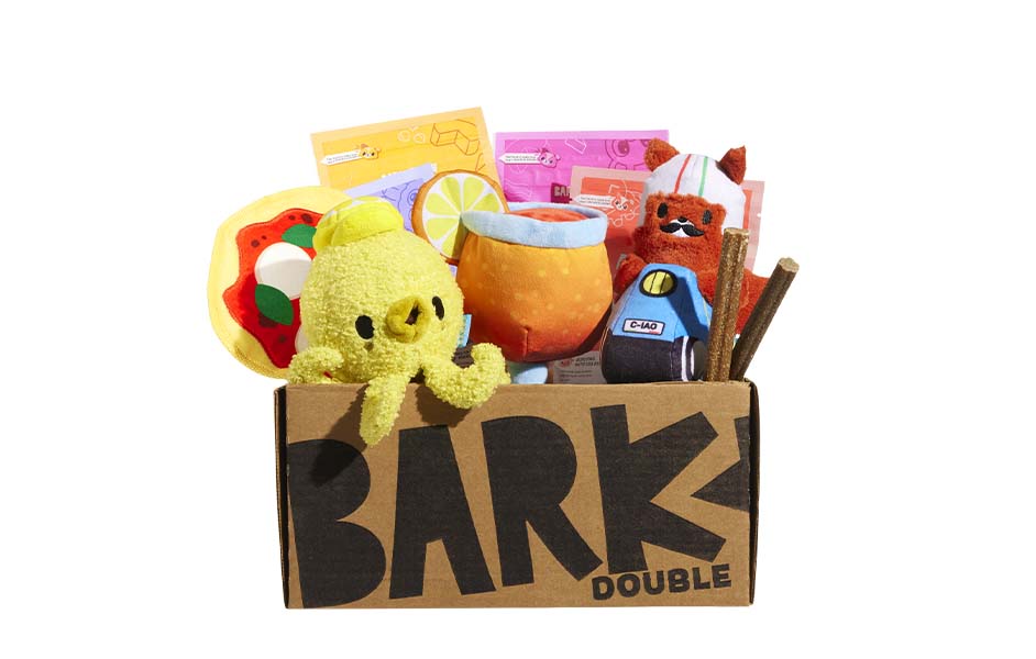 Italy Playcation themed BarkBox