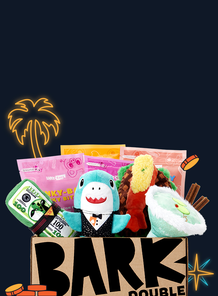 Photograph of Jackpawt | Las Vegas themed dog toys | BarkBox themed BarkBox toys and treats