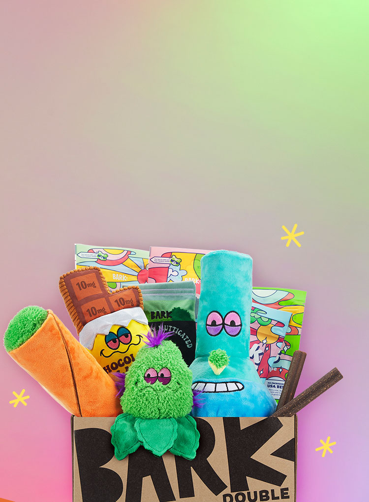 Photograph of Jared's Normal Deli | 4/20 Dog Toys themed BarkBox toys and treats