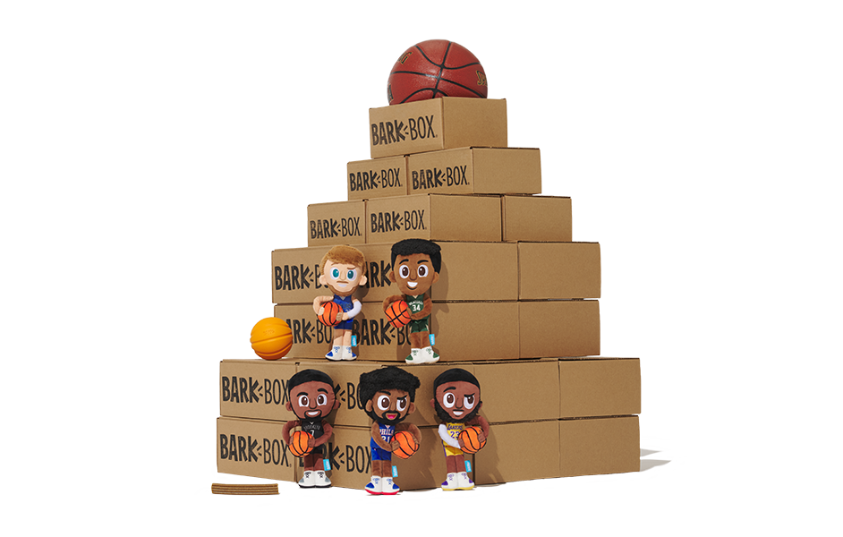 NBA themed BarkBox