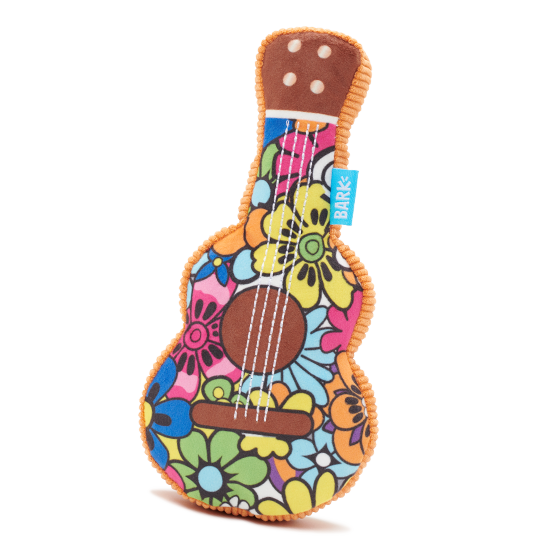 Photograph of BarkBox’s Guitar Licks product