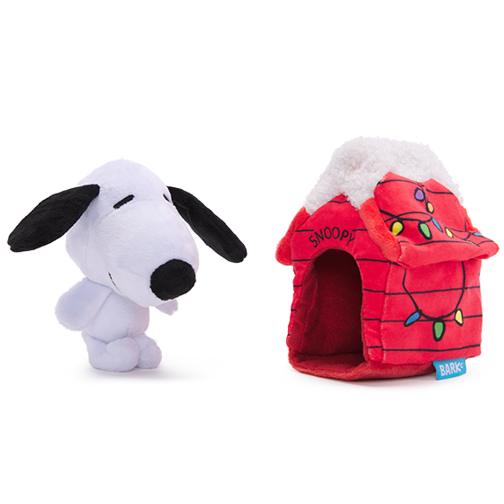 snoopy barkbox