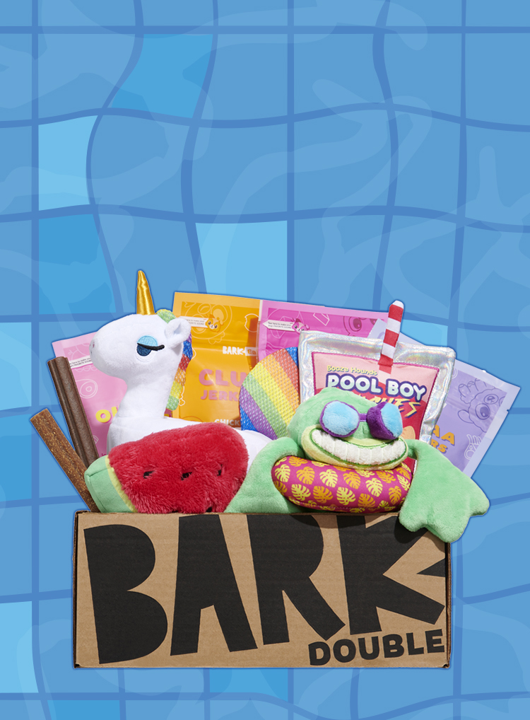 Photograph of Pool Party Animals  themed BarkBox toys and treats