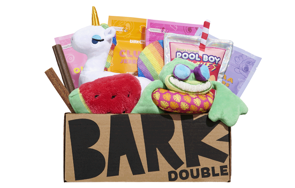 Pool Party Animals | Pool themed Dog Toys | BarkBox themed BarkBox