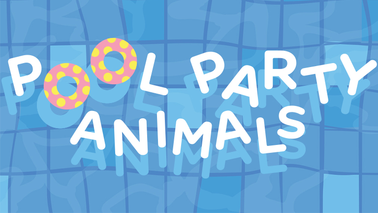 Pool Party Animals | Pool themed Dog Toys | BarkBox