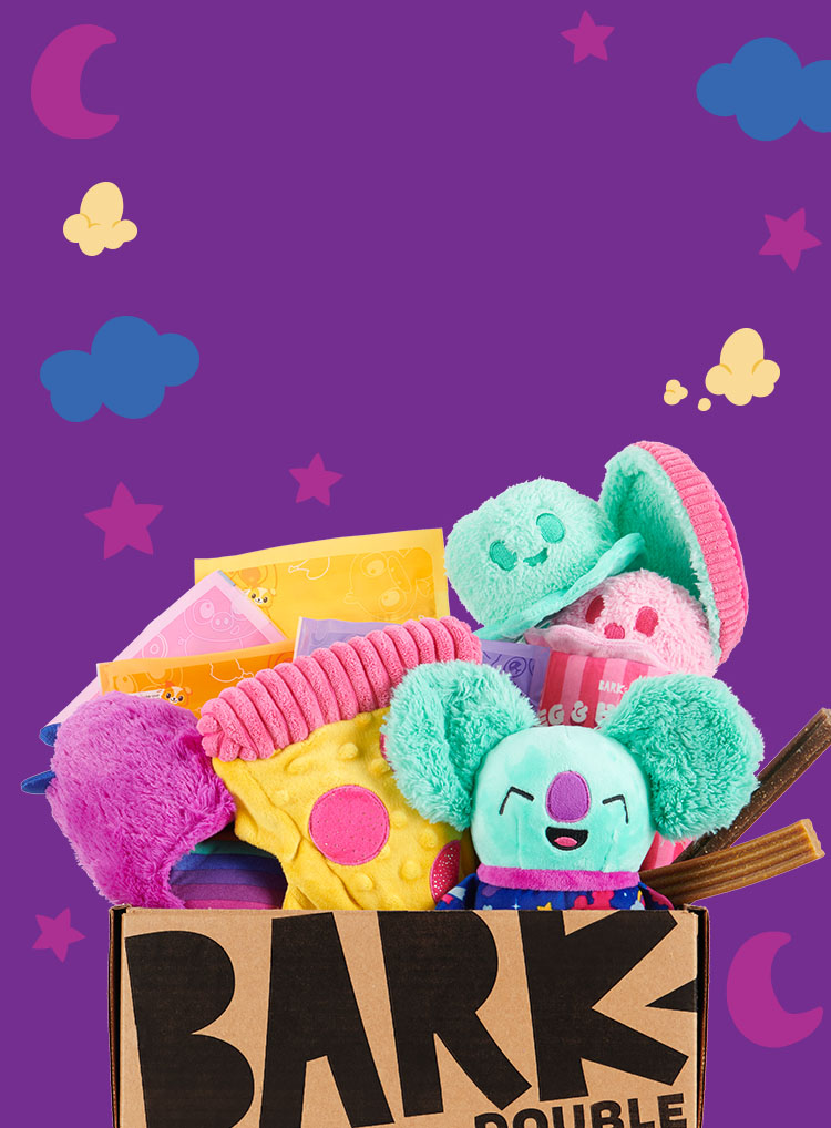 Photograph of Slobber Party themed BarkBox toys and treats