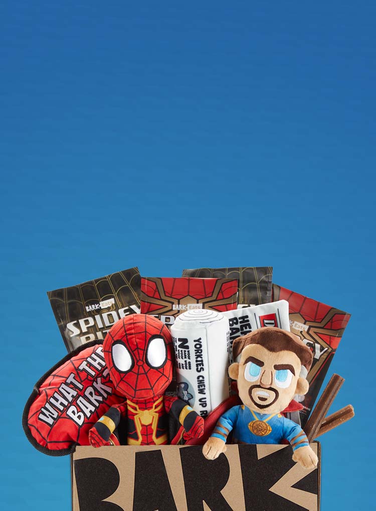 Photograph of Spider-Man: No Way Home themed BarkBox toys and treats