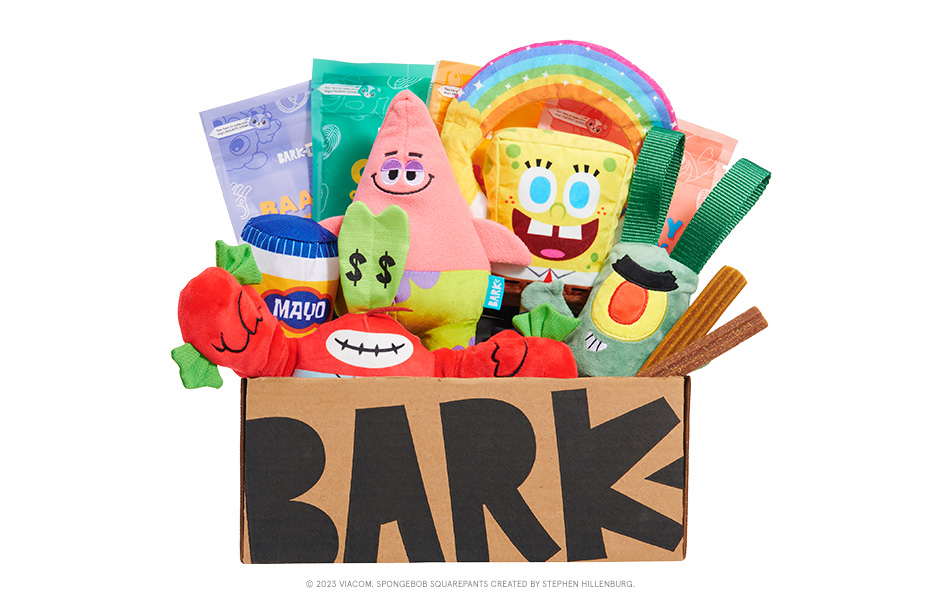Spongebob | spongebob themed Dog Toys | BarkBox themed BarkBox