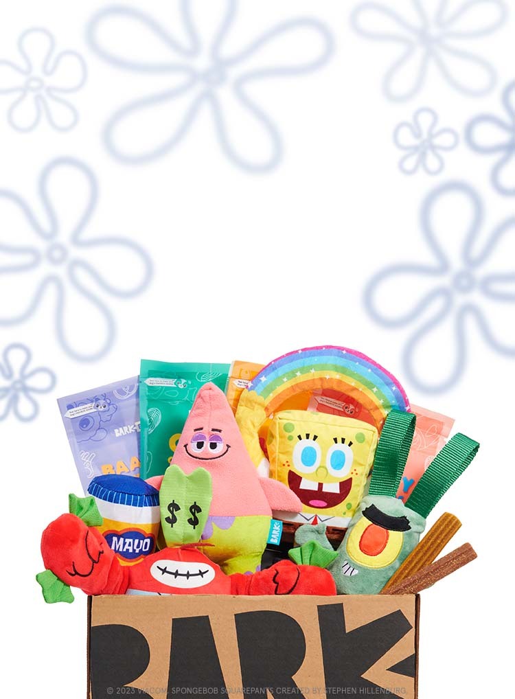 Photograph of Spongebob | spongebob themed Dog Toys | BarkBox themed BarkBox toys and treats