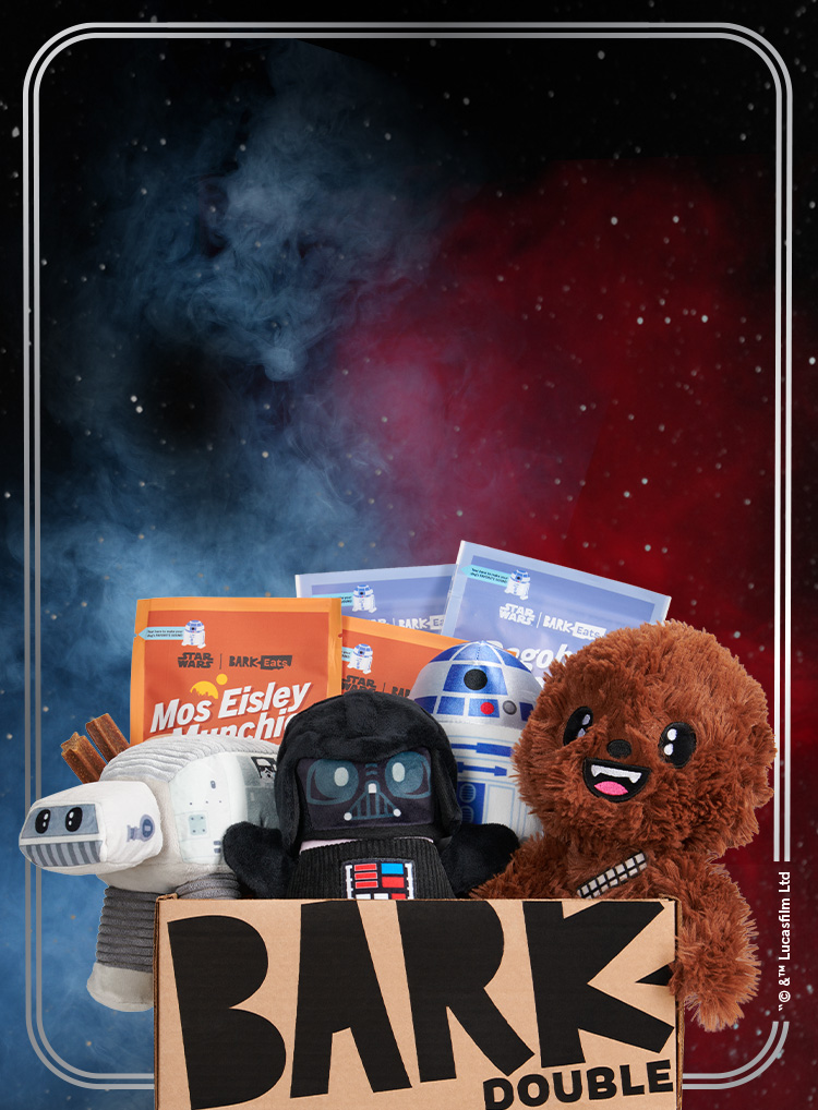 Photograph of Star Wars | Star Wars themed Dog Toys | BarkBox themed BarkBox toys and treats
