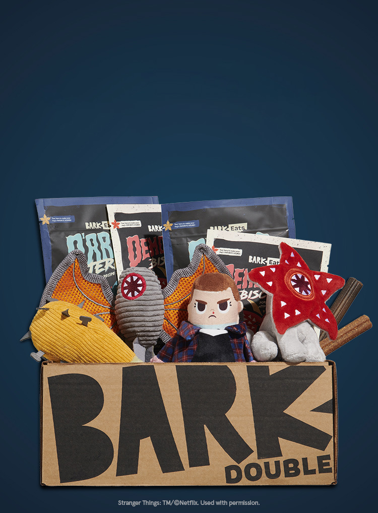 Photograph of Stranger Things | Stranger Things Themed Dog Toys | BarkBox themed BarkBox toys and treats