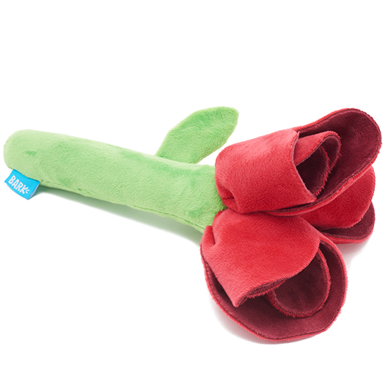 Photograph of BarkBox’s Barkquet of Roses product